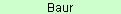 Baur