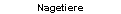 Nagetiere
